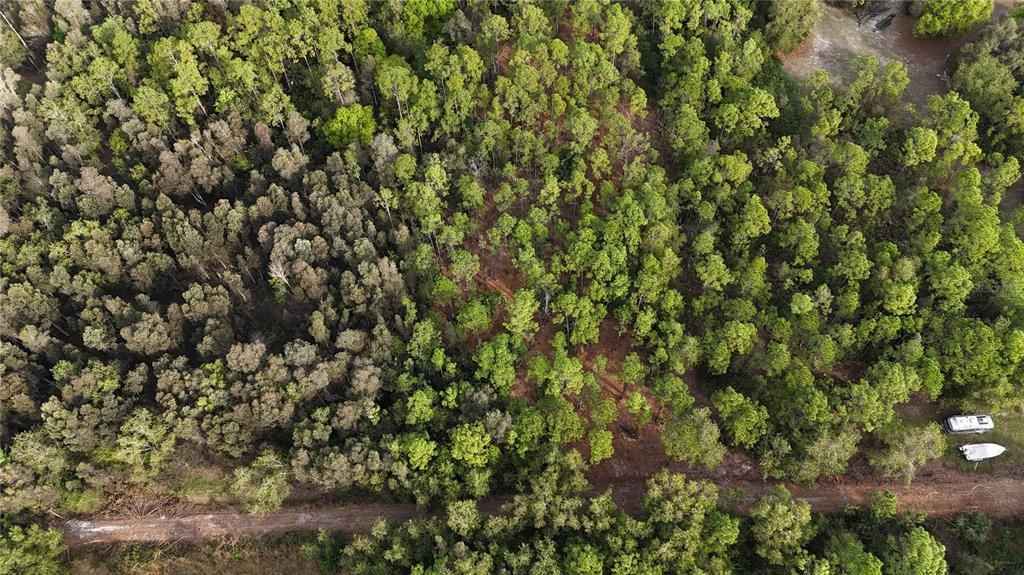 待售: $269,000 (5.00 acres)