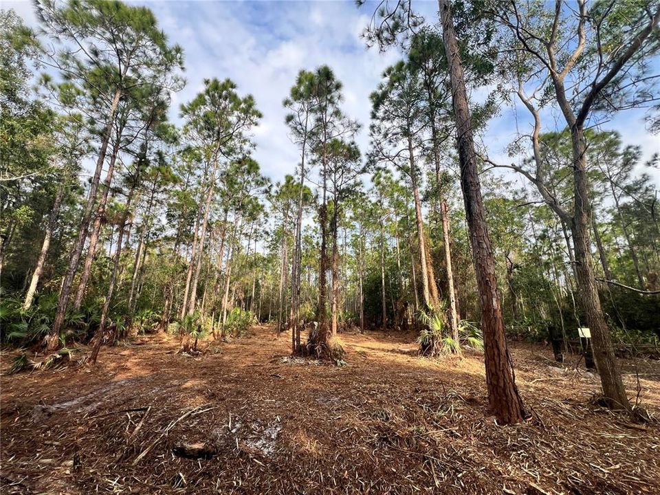 待售: $269,000 (5.00 acres)