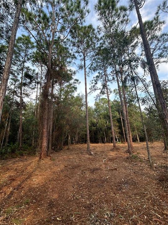 待售: $269,000 (5.00 acres)