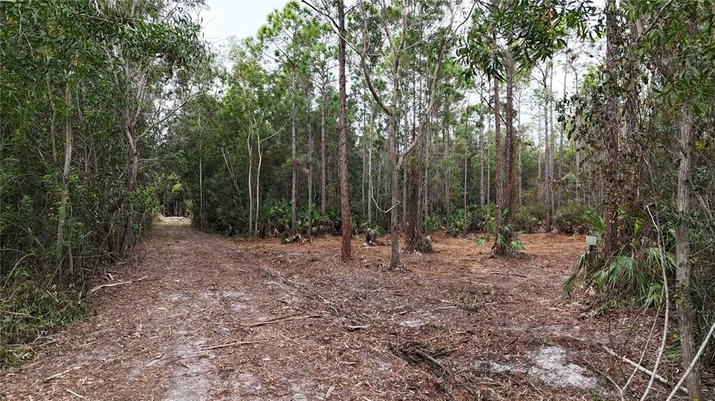 待售: $269,000 (5.00 acres)