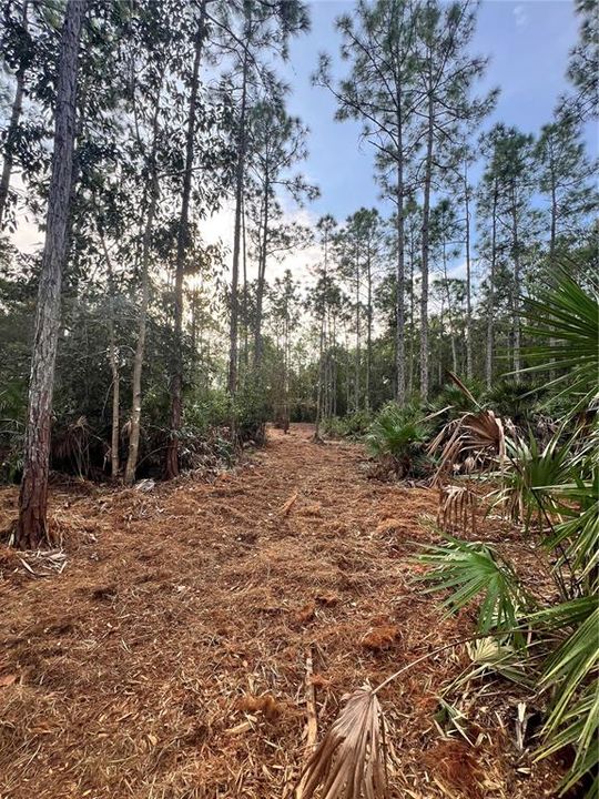 待售: $269,000 (5.00 acres)