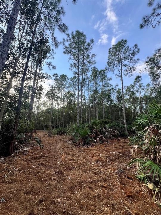 待售: $269,000 (5.00 acres)