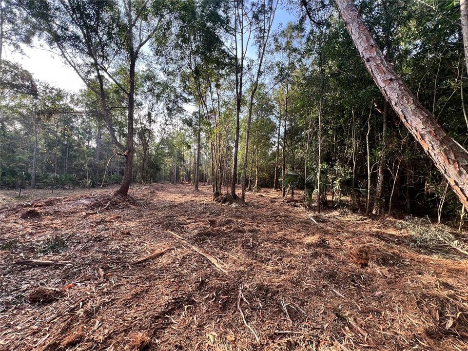 待售: $269,000 (5.00 acres)