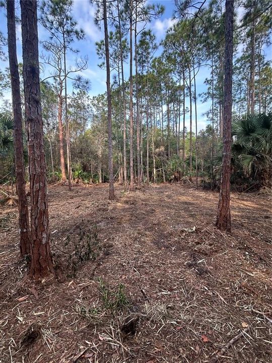 待售: $269,000 (5.00 acres)