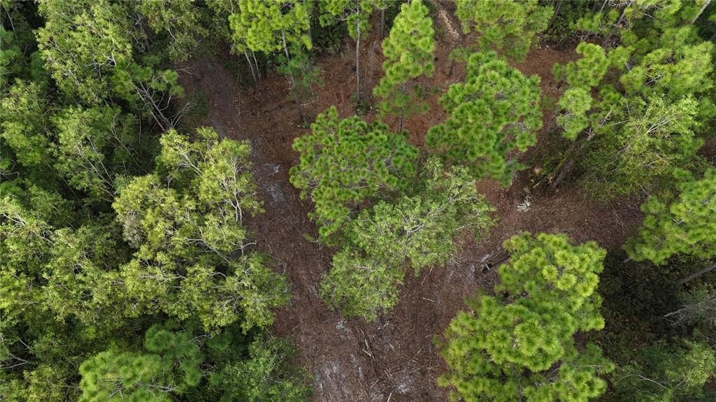 待售: $269,000 (5.00 acres)