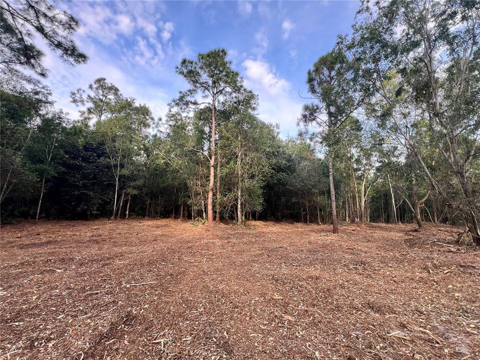 待售: $269,000 (5.00 acres)