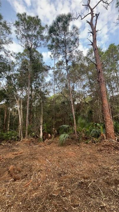 待售: $269,000 (5.00 acres)