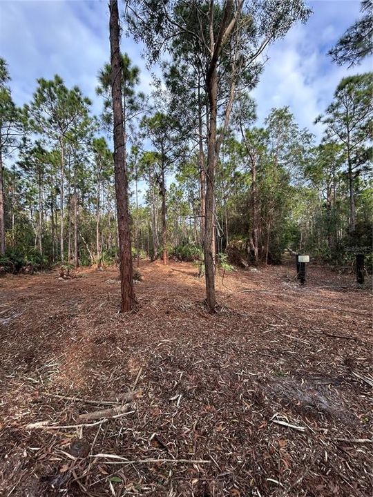 待售: $269,000 (5.00 acres)