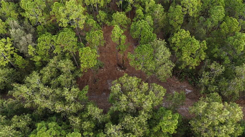 待售: $269,000 (5.00 acres)