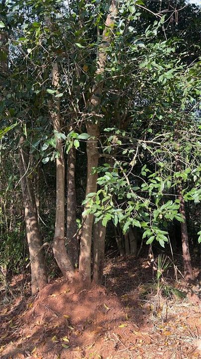 待售: $269,000 (5.00 acres)