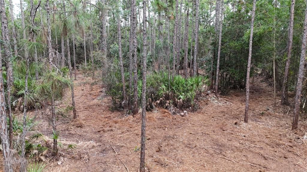 待售: $269,000 (5.00 acres)