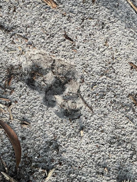 待售: $269,000 (5.00 acres)