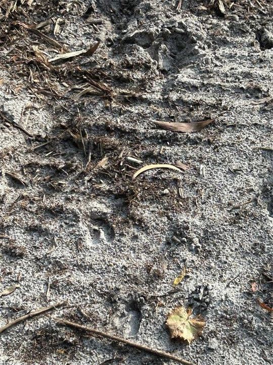 待售: $269,000 (5.00 acres)