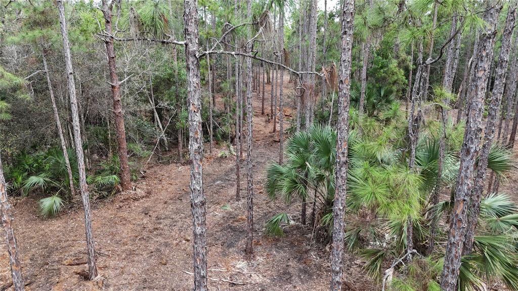 待售: $269,000 (5.00 acres)