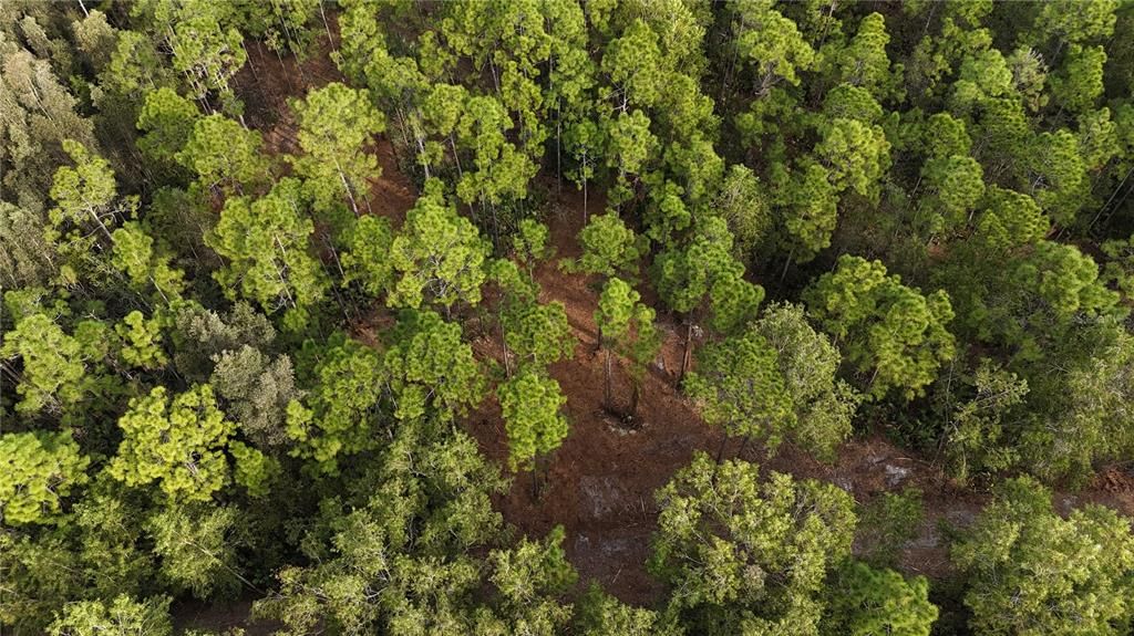 待售: $269,000 (5.00 acres)