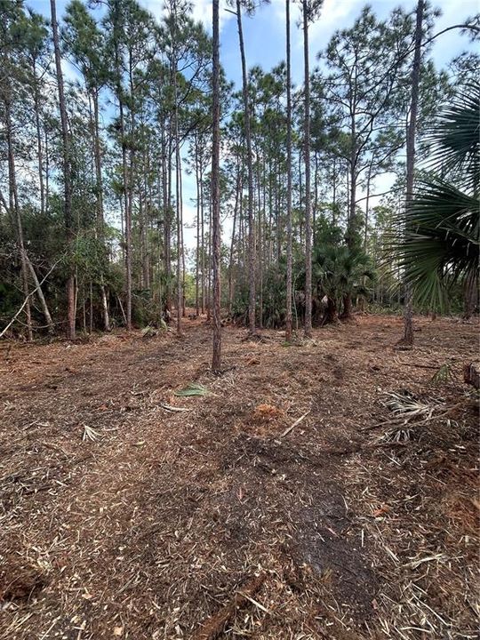 待售: $269,000 (5.00 acres)