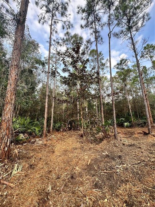 待售: $269,000 (5.00 acres)