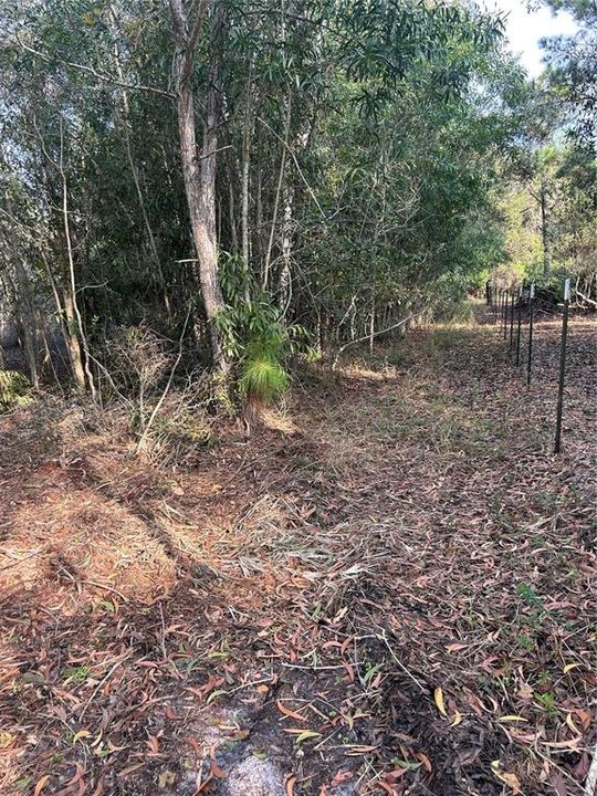 待售: $269,000 (5.00 acres)