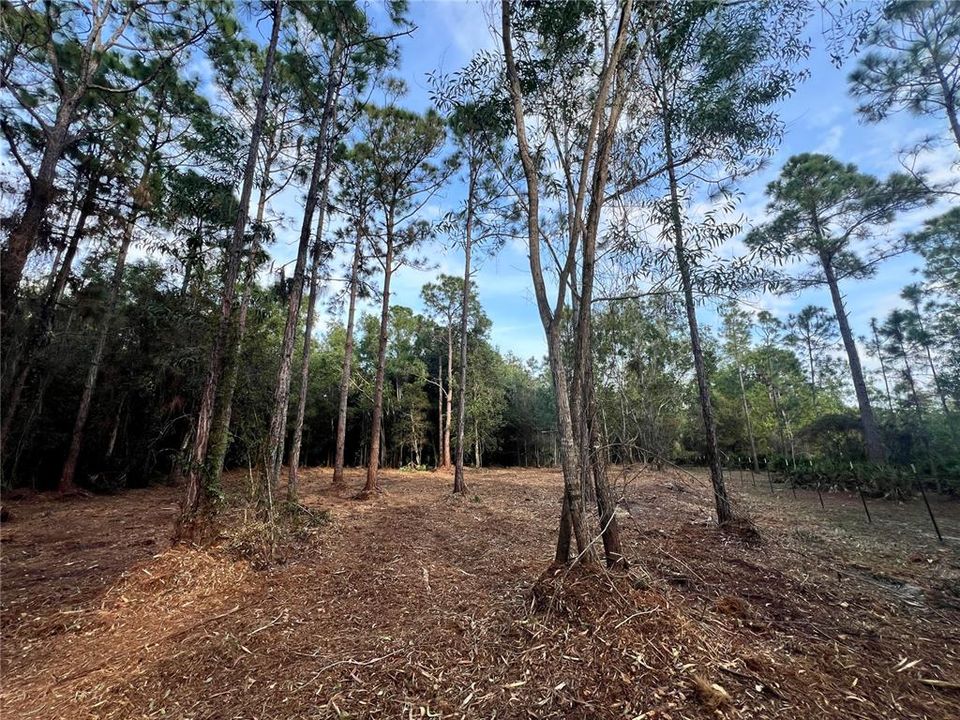 待售: $269,000 (5.00 acres)