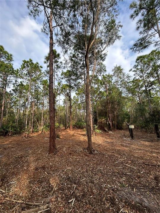 待售: $269,000 (5.00 acres)