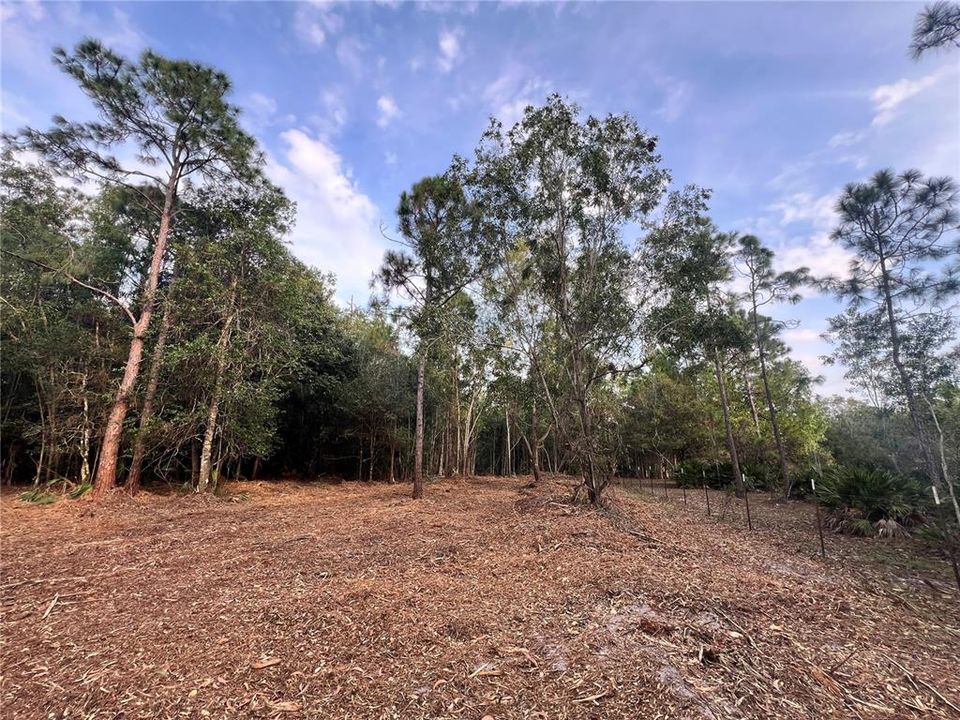 待售: $269,000 (5.00 acres)