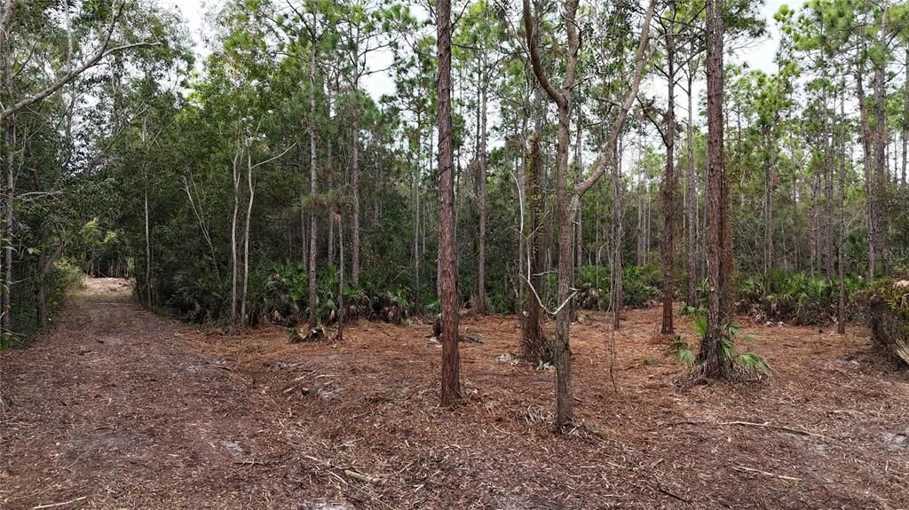 待售: $269,000 (5.00 acres)