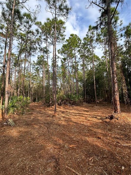 待售: $269,000 (5.00 acres)