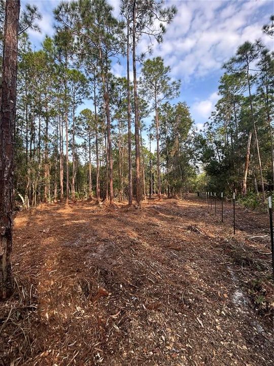 待售: $269,000 (5.00 acres)