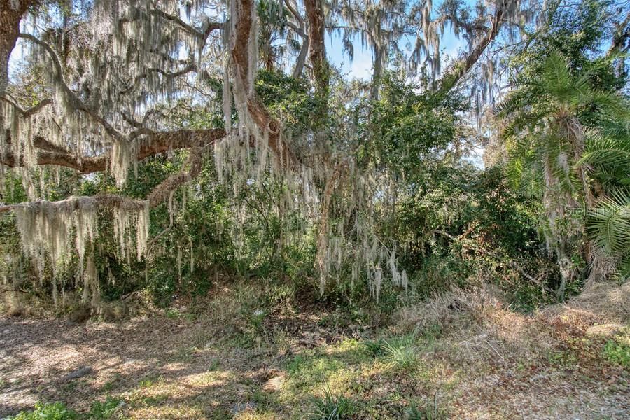 En Venta: $350,000 (9.87 acres)