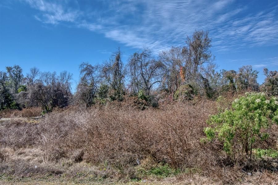 En Venta: $350,000 (9.87 acres)