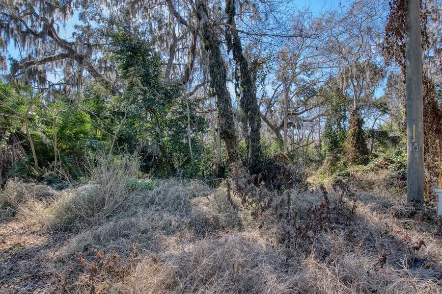 En Venta: $350,000 (9.87 acres)