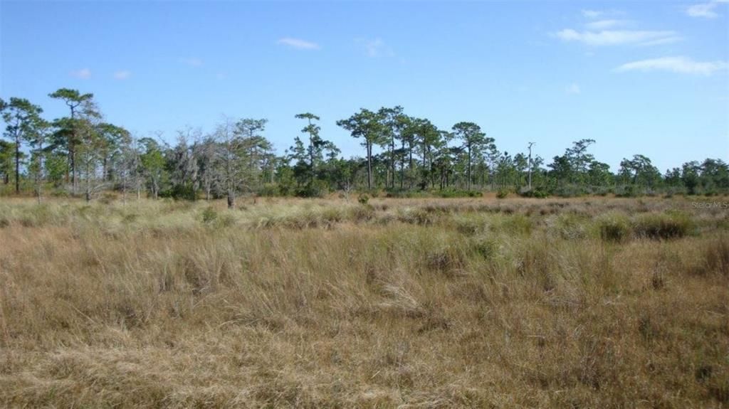 На продажу: $48,000 (2.51 acres)