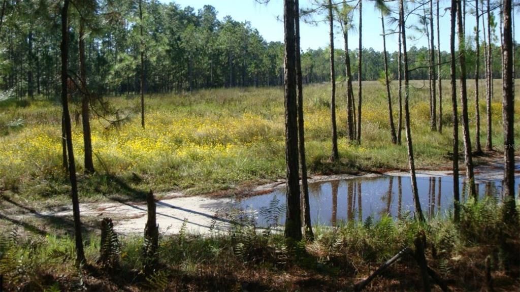 На продажу: $48,000 (2.51 acres)