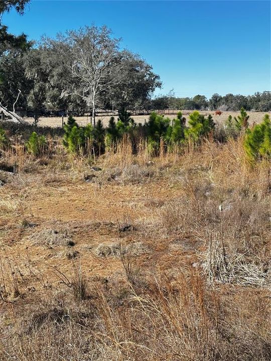 En Venta: $425,000 (10.04 acres)