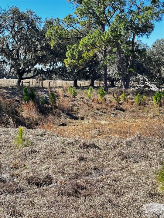 En Venta: $425,000 (10.04 acres)