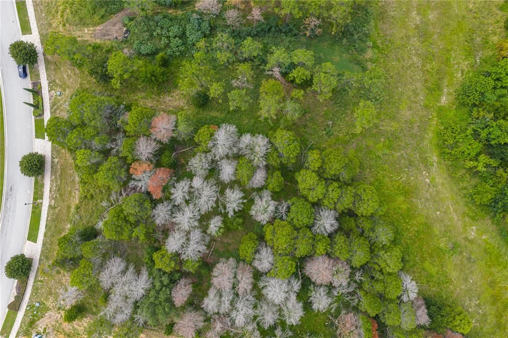 待售: $1,225,000 (1.24 acres)