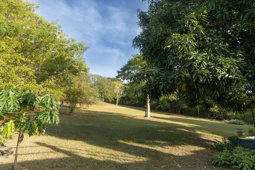 En Venta: $563,000 (3 camas, 3 baños, 2000 Pies cuadrados)