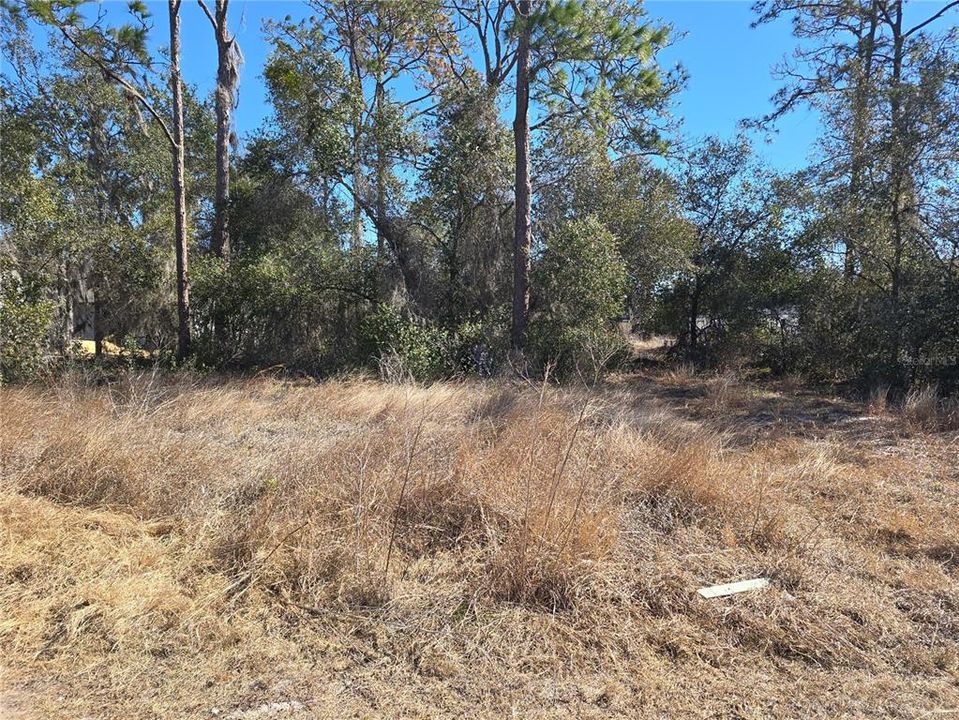 Vendido Recientemente: $20,000 (0.16 acres)