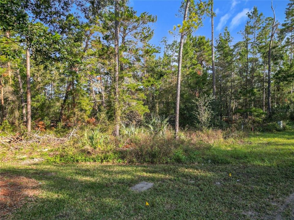 На продажу: $34,900 (0.30 acres)