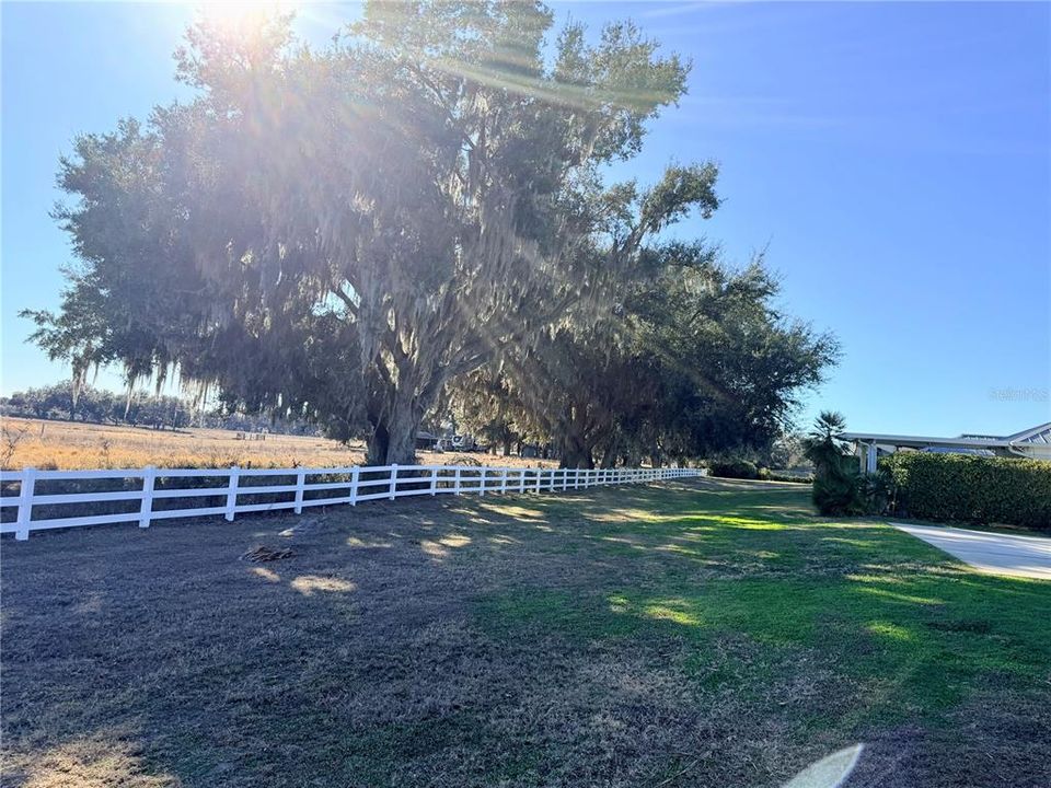 На продажу: $184,900 (0.12 acres)