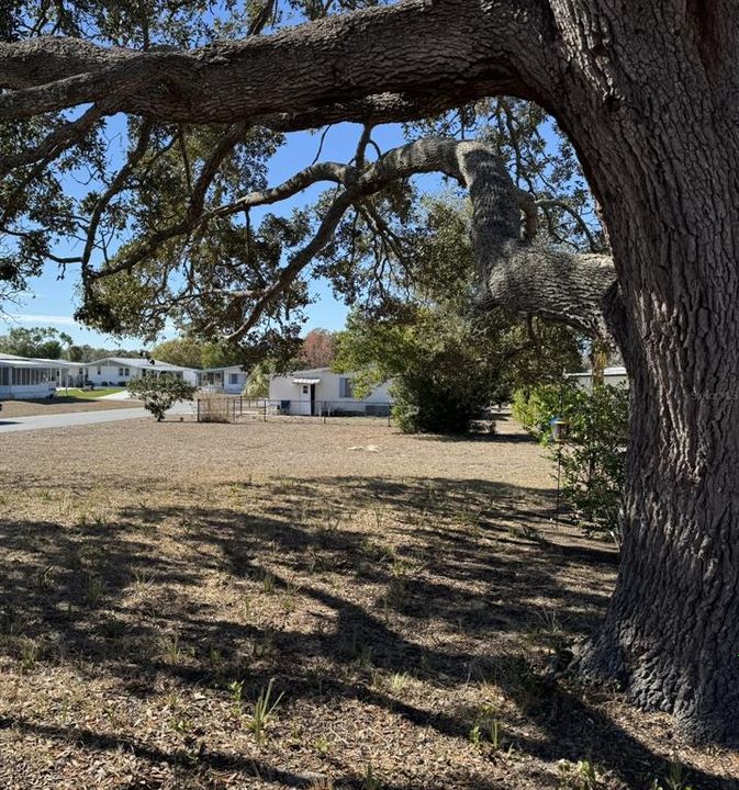 For Sale: $29,900 (0.13 acres)