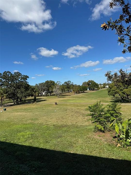 For Sale: $29,900 (0.13 acres)