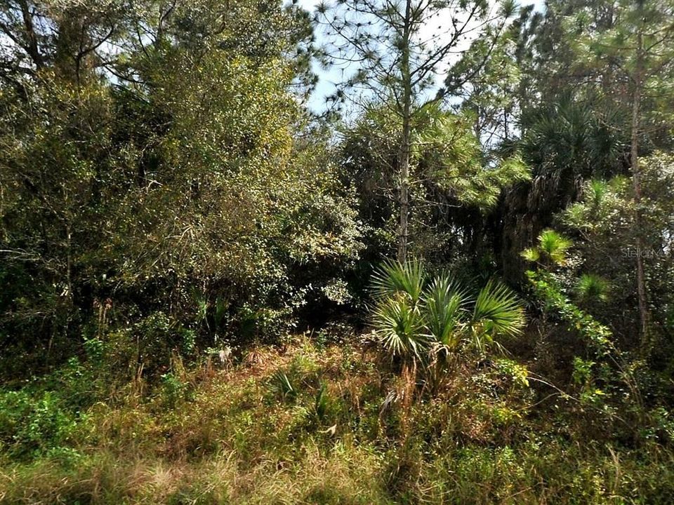 En Venta: $35,000 (0.23 acres)