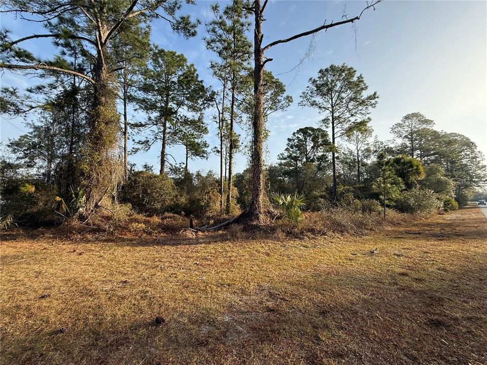 Vendido Recientemente: $104,500 (1.00 acres)