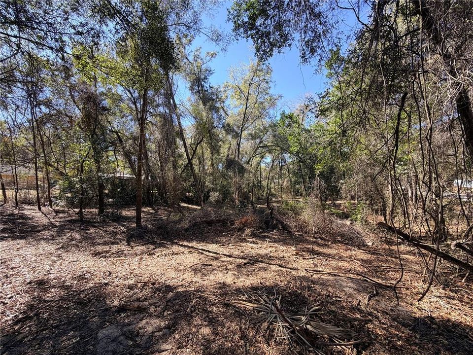 For Sale: $17,000 (0.44 acres)