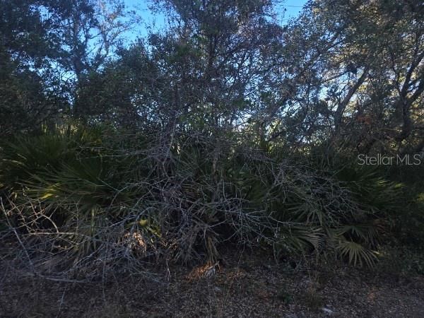 En Venta: $24,000 (0.28 acres)