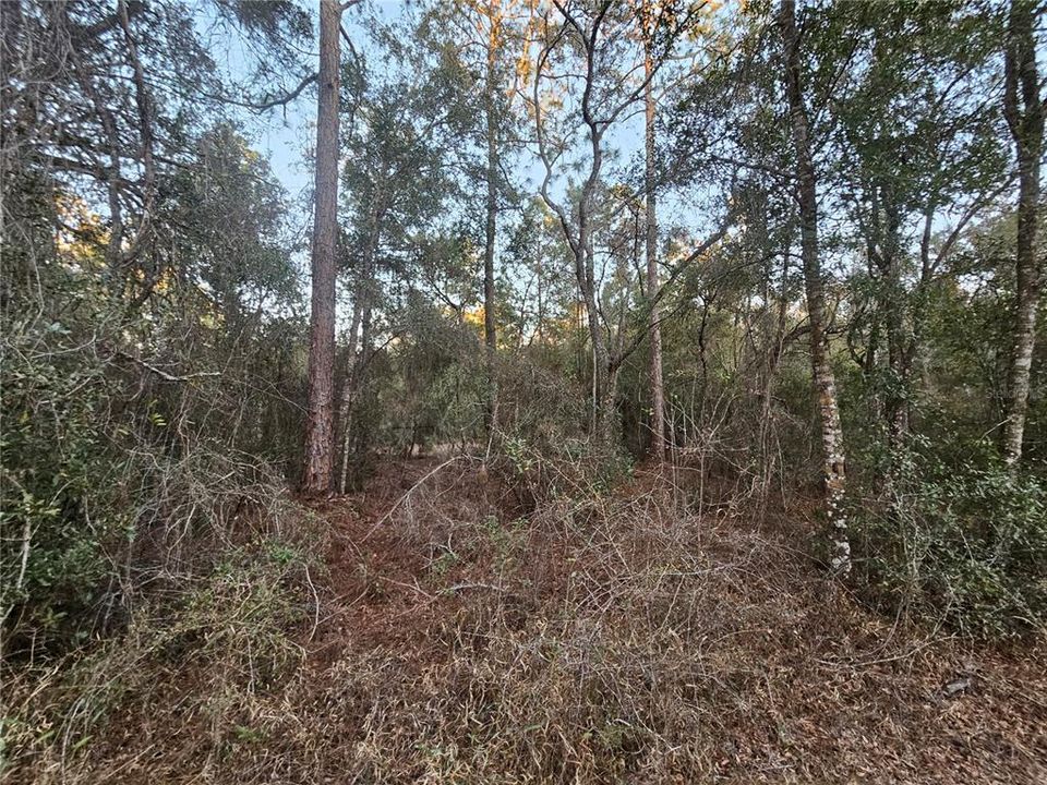 For Sale: $39,900 (0.98 acres)