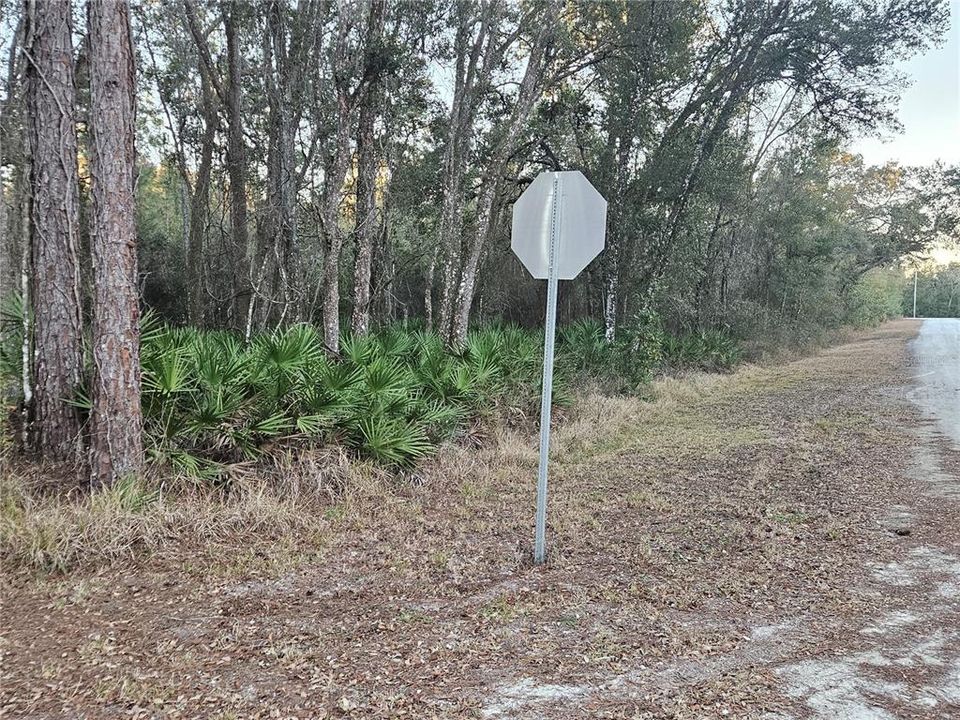 For Sale: $39,900 (0.98 acres)