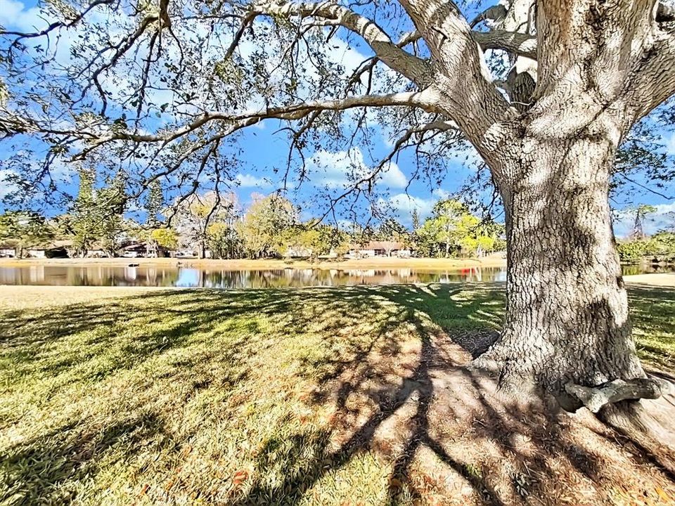 En Venta: $180,000 (2 camas, 2 baños, 915 Pies cuadrados)