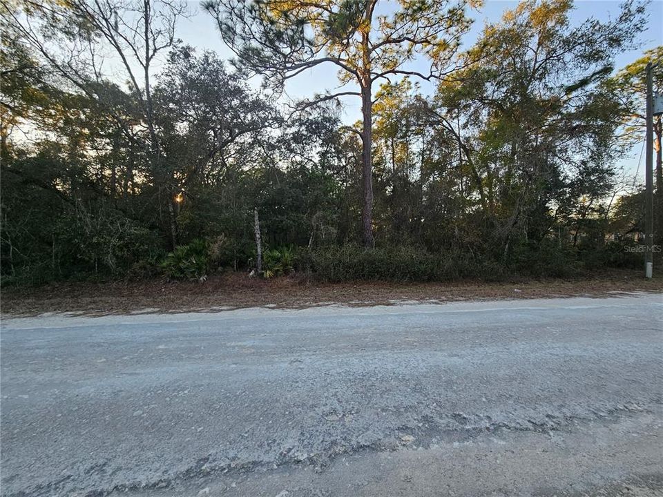 Recently Sold: $41,900 (1.16 acres)